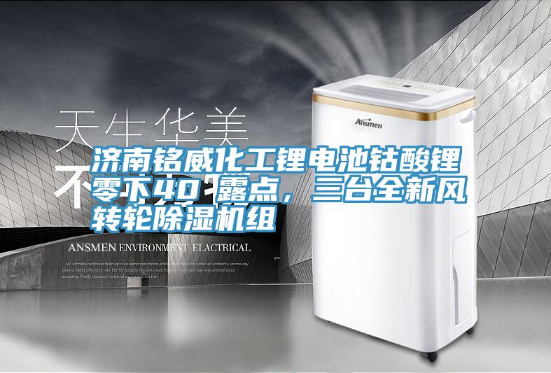 濟(jì)南銘威化工鋰電池鈷酸鋰零下40℃露點(diǎn)，三臺全新風(fēng)轉(zhuǎn)輪除濕機(jī)組