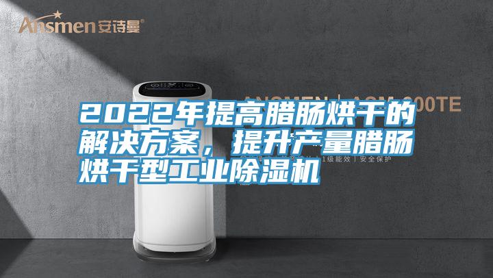 2022年提高臘腸烘干的解決方案，提升產(chǎn)量臘腸烘干型工業(yè)除濕機