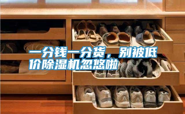 一分錢(qián)一分貨，別被低價(jià)除濕機(jī)忽悠啦