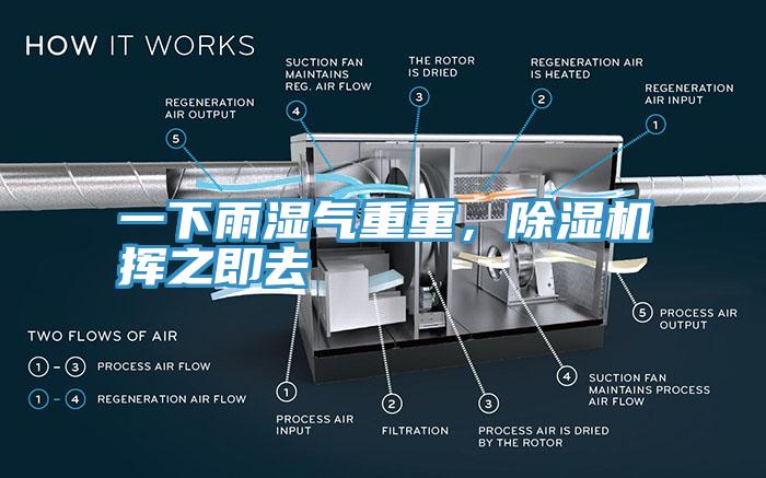 一下雨濕氣重重，除濕機(jī)揮之即去