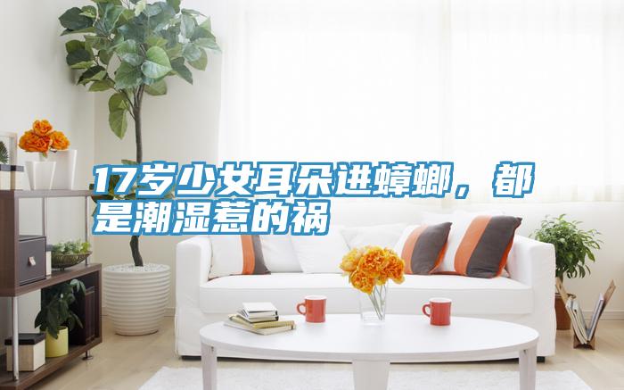 17歲少女耳朵進蟑螂，都是潮濕惹的禍