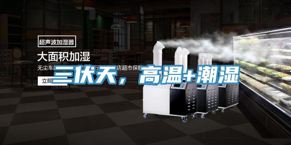 三伏天，高溫+潮濕