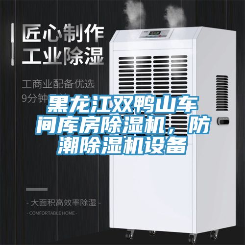 黑龍江雙鴨山車間庫房除濕機(jī)，防潮除濕機(jī)設(shè)備