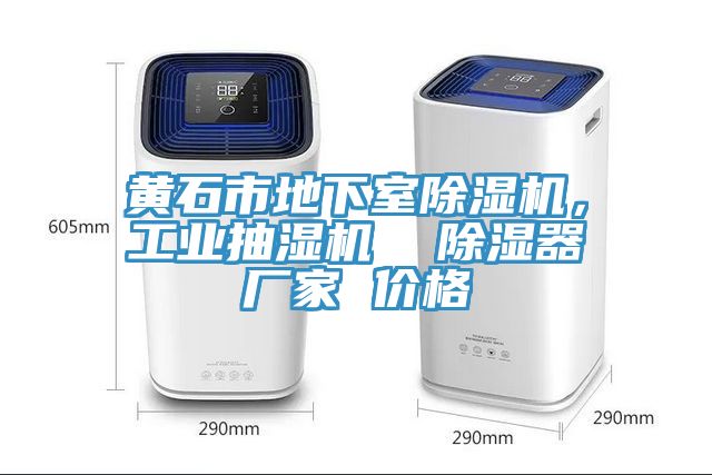 黃石市地下室除濕機(jī)，工業(yè)抽濕機(jī)  除濕器廠家 價格