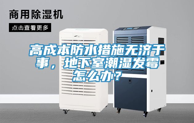 高成本防水措施無濟于事，地下室潮濕發(fā)霉怎么辦？