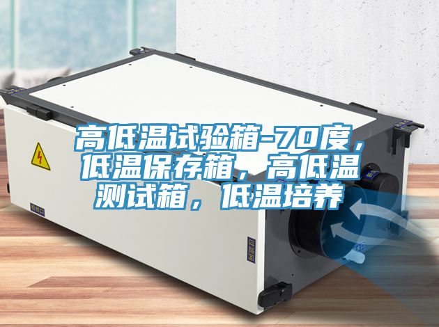 高低溫試驗箱-70度，低溫保存箱，高低溫測試箱，低溫培養(yǎng)
