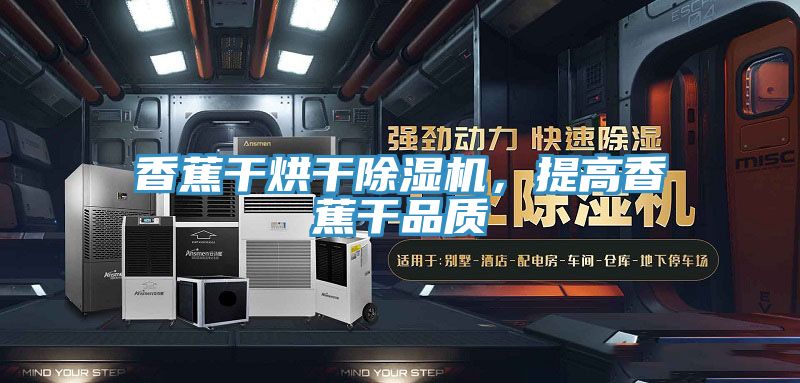 香蕉干烘干除濕機，提高香蕉干品質(zhì)