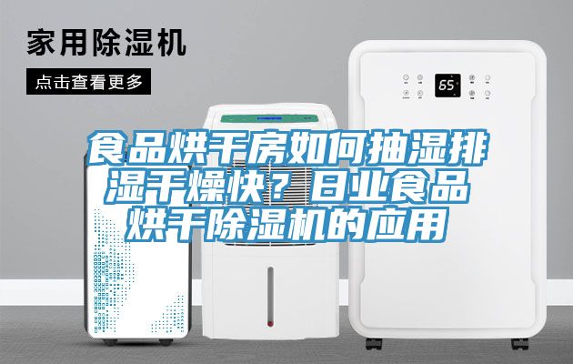 食品烘干房如何抽濕排濕干燥快？日業(yè)食品烘干除濕機(jī)的應(yīng)用
