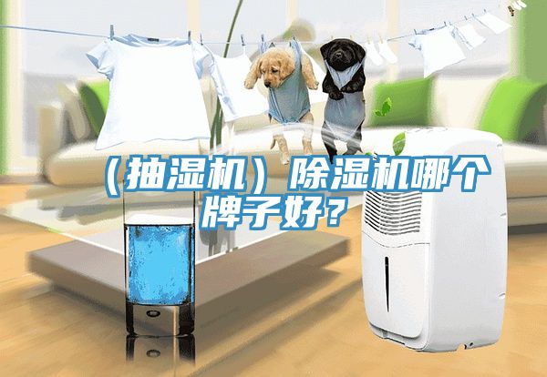 （抽濕機(jī)）除濕機(jī)哪個(gè)牌子好？