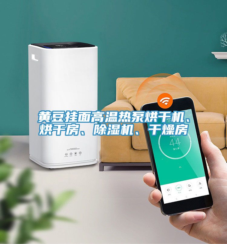 黃豆掛面高溫熱泵烘干機、烘干房、除濕機、干燥房