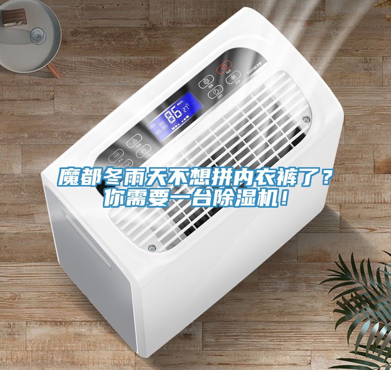 魔都冬雨天不想拼內(nèi)衣褲了？你需要一臺除濕機！