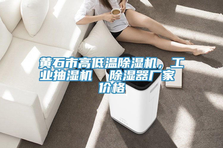 黃石市高低溫除濕機(jī)，工業(yè)抽濕機(jī)  除濕器廠家 價格