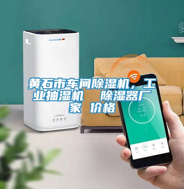 黃石市車間除濕機(jī)，工業(yè)抽濕機(jī)  除濕器廠家 價格