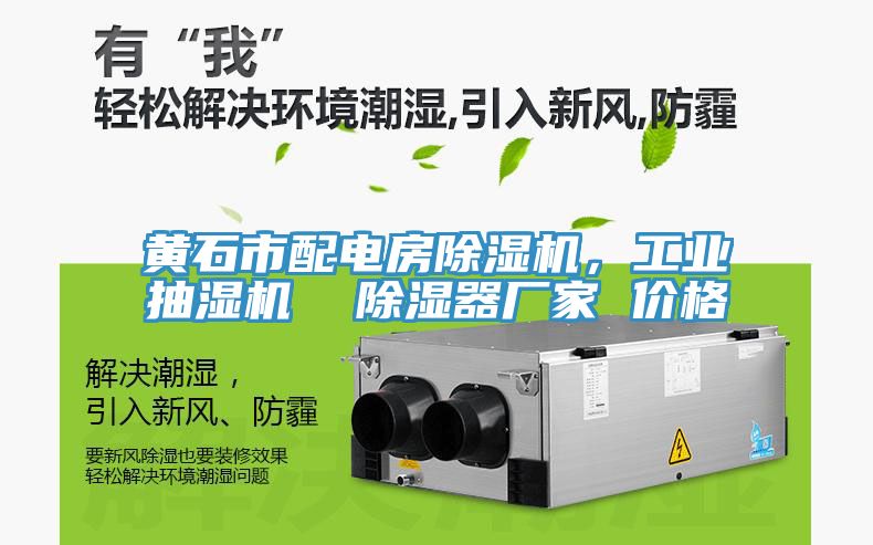 黃石市配電房除濕機(jī)，工業(yè)抽濕機(jī)  除濕器廠家 價格