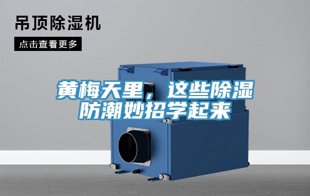黃梅天里，這些除濕防潮妙招學(xué)起來