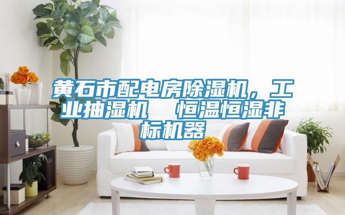黃石市配電房除濕機，工業(yè)抽濕機  恒溫恒濕非標(biāo)機器
