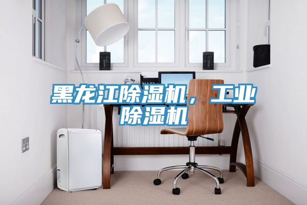 黑龍江除濕機，工業(yè)除濕機